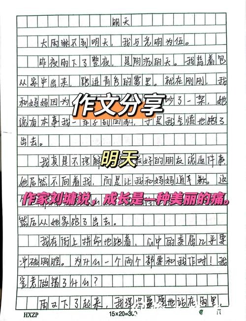 世界杯投注心得:从小白到高手的成长历程 世界杯投注心得:从小白到高手的成长历程